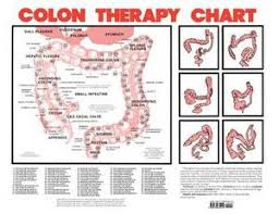 Magrudy Com Colon Therapy Chart