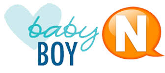 indian baby boy names starting letter n