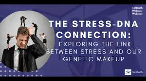 the stress dna connection the link