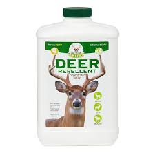 Deer Repellent Concentrated Spray