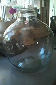 large glass bottle carboy terrarium