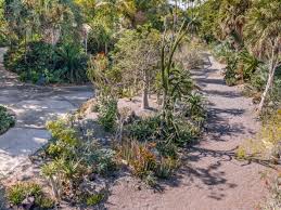 Cacti Naples Botanical Garden