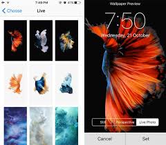 iphone 6s live wallpapers on iphone 6