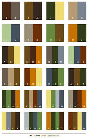 A Year Of Infographs Earth Tone Color