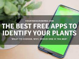 the 5 best free apps to identify plants