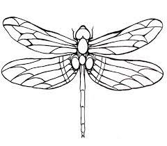 Whether your kids love to hear the birds sing, smell the flowers that bloom or see the dragonflies that fly through the air, being outdoors is the best spring activity coloring is a great quiet time activity that kids of all ages can enjoy! Dragonfly Large Winged Coloring Page For Kids Dragonfly Drawing Dragonfly Art Coloring Pages