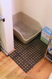 How To Keep The Litter Box Area Clean