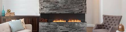 ecosmart fire fireplace inserts