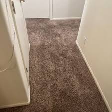 go dry carpet cleaning 14 photos 1