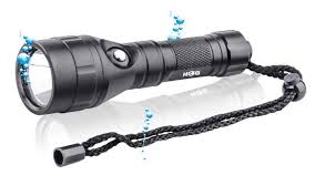Hog 1000 Lumen Led Rechargeable Primary Scuba Dive Light From Out Of The Dust
