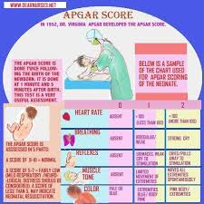 Apgar Score Child Nursing Pediatric Nursing Nursing