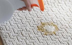 how to clean vomit from carpet 2 easy