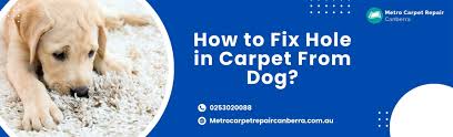 by metro carpet repair canberra