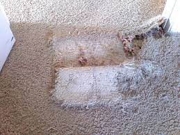 carpet repair carpet repair louisville