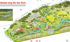 where to catch fish at bishan park