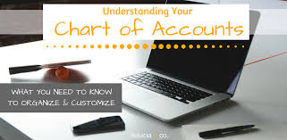 Understanding Your Chart Of Accounts Delucia Co