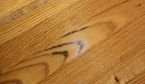 signs of mold under hardwood floors and