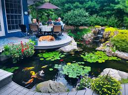 Water Garden Safety What You Need To