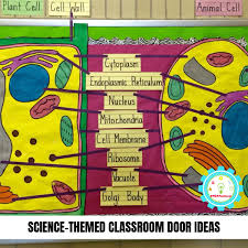 science clroom decorating ideas