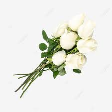 beautiful plant white rose bouquet