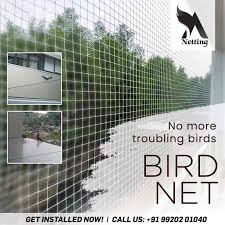 Top Bird Netting Services In Mumbai