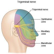 trigeminal neuralgia inpatient care