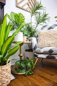 how to make faux plants look real
