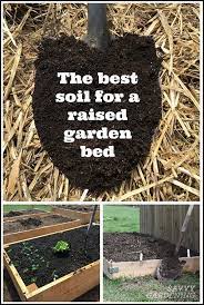 Organic Gardening Soil Raised Garden