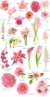 Maybe you would like to learn more about one of these? Flower Names By Color Wedding Flower Types Flower Names Types Of White Flowers