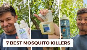 best mosquito s for your yard