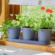 windowsill herb pots slate smart