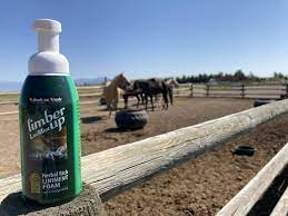 use liniment on horses