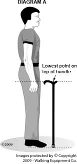 How To Size Measure A Walking Cane Fashionablecanes Com