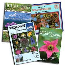 Alaska Wildflower Photos And Natural