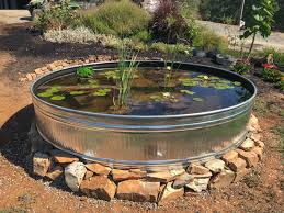 Lily Pond Using A Stock Tank