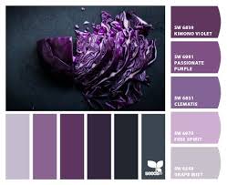 Paint Colors From Colorsnap By Sherwin