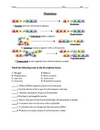 Genetics Mutations Using A Codon Chart