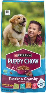 crunchy with real beef dry dog food