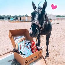 the best gifts for horse a