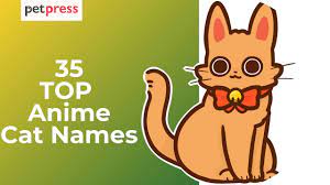 anime inspired cat names for your cute cats