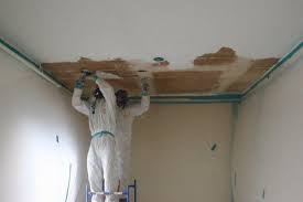 Asbestos Ceiling Removal In Newport