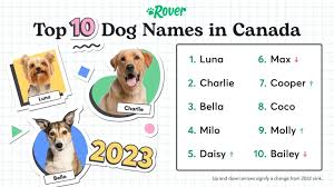 most trending dog names in canada