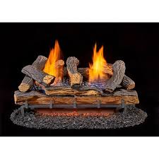 Gas Fireplace Logs With Manual Control