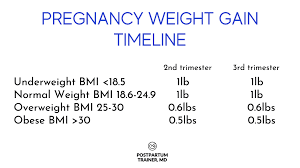 much weight during pregnancy