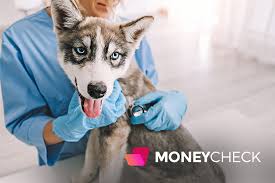 We now offer a new affordable pet hospital also provides emergency and critical care, hospice and euthanasia discover top restaurants, spas, things to do & more. How To Get Cheap Or Free Vet Care Near Me Complete Guide
