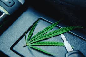 get weed smell out of your car