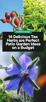 14 Delicious Tea Herbs That Are Perfect