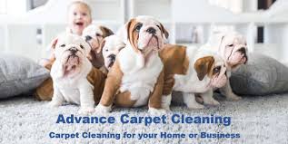 advance carpet cleaning denver co