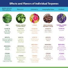 Effects And Flavors Chart For Individual Terpenes Terpene