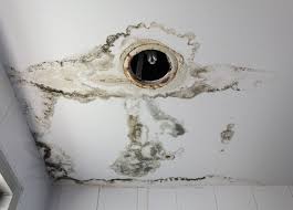 mold on ceiling how to treat mold on